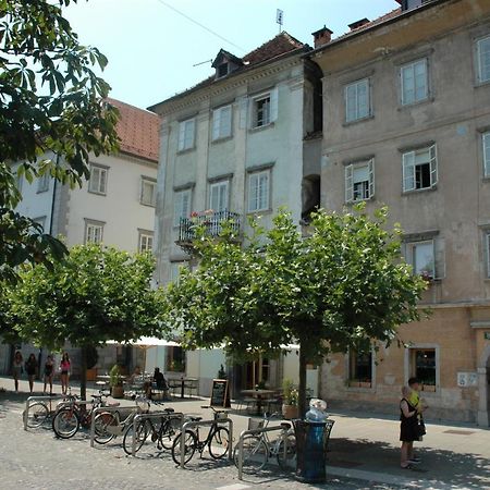 Vitez Apartment II Ljubljana Bagian luar foto