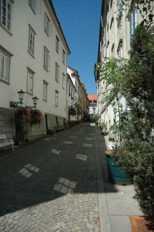 Vitez Apartment II Ljubljana Bagian luar foto