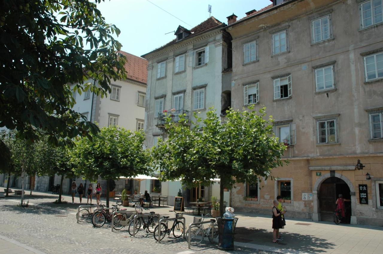 Vitez Apartment II Ljubljana Bagian luar foto