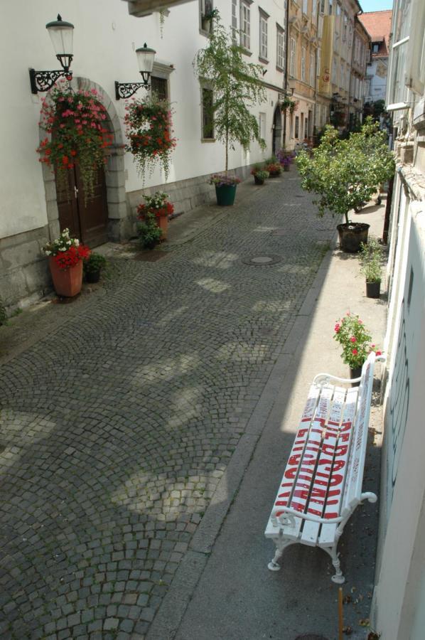 Vitez Apartment II Ljubljana Bagian luar foto
